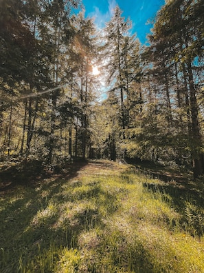 BoendeomrÄde