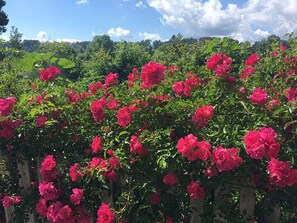 Jardines del alojamiento