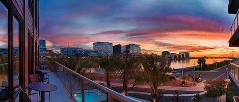 CozySuites luxury Tempe condo in paradise under the palm trees and overlooking Town Lake!! [view from the clubroom]