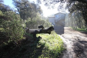 Ulkopuoli