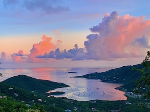 Tropical Manor Pink and Purple Sunsets Over Coral Bay