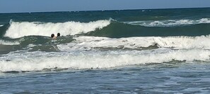 Strand