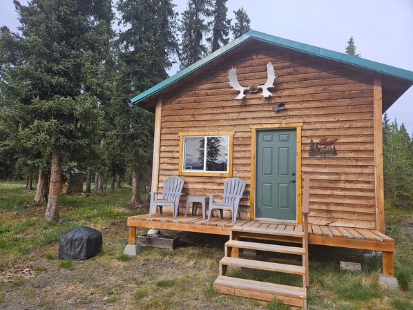 Ulkopuoli