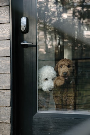 Pet friendly cabin