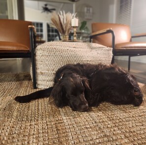 So relaxing, even the pups need a nap!