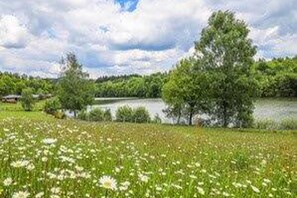 Stugans exteriör [sommar]