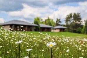 Stugans exteriör [sommar]
