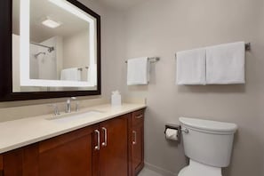 1 Bedroom Villa - Bathroom