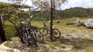 Cykling