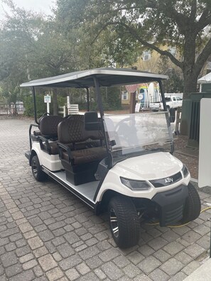 This 6-seater golf cart (LSV) is included with the unit, along w/4 cruiser bikes