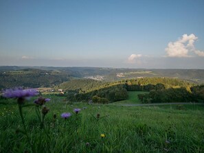 Ferienwohnung An der Hardt