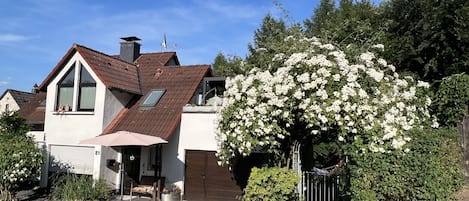 Rechts unter den Rosen ist der Eingang zu der Ferienwohnung 