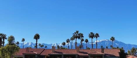 View from the fairway patio facing west 