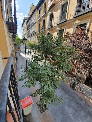 Vista desde la habitación