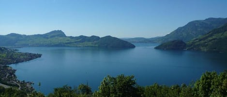 Vista dalla struttura