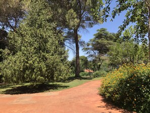 Terrenos do alojamento