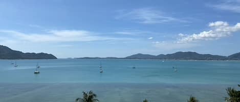 Vue sur la plage/l’océan