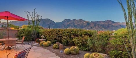 Catalina Foothills Views 