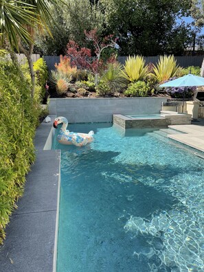 Pool with Overflow Large Spa