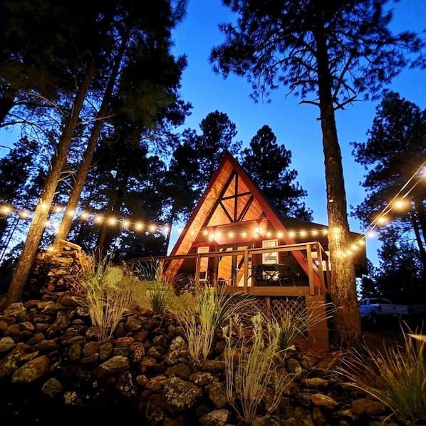 Dusk in the Back Yard.