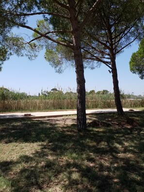 Parco della struttura