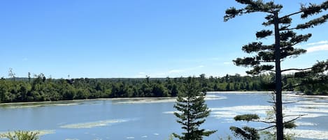 Terrain de l’hébergement 