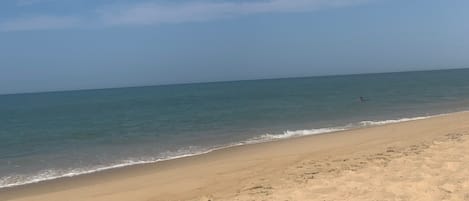 Virginia Beach