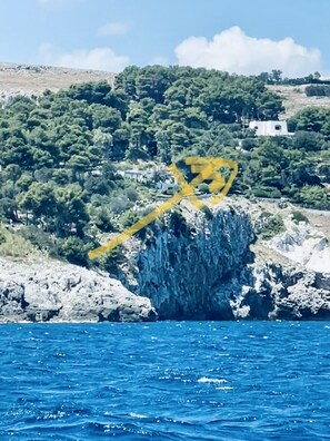 Divers