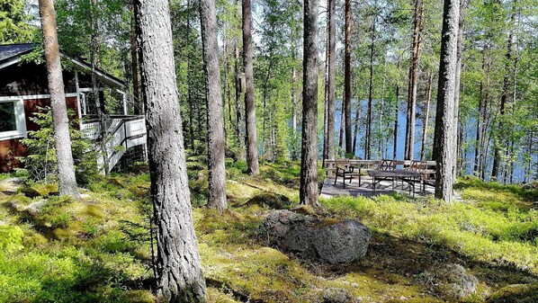 Overnatningsstedets område