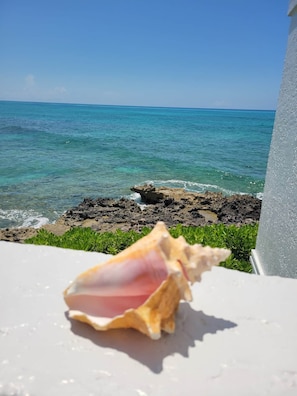 View from Balcony with Local Conch Shell