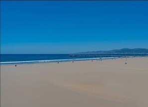 Sunbathe, stroll, or surf on Venice Beach