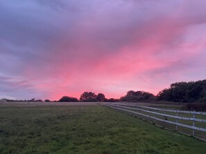 View | Fern Lodge, Kingfisher Lodge, Rose Lodge - Springfield Meadows, Halwill Junction, near Beaworthy