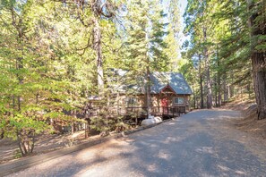 Level Driveway