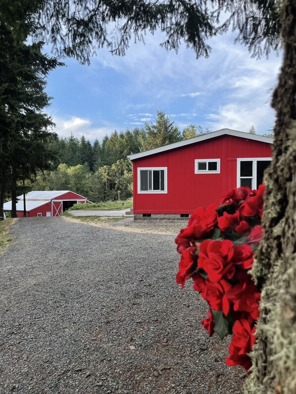 Unique property with 5 BR house and a barn on 14 acres of forested land.