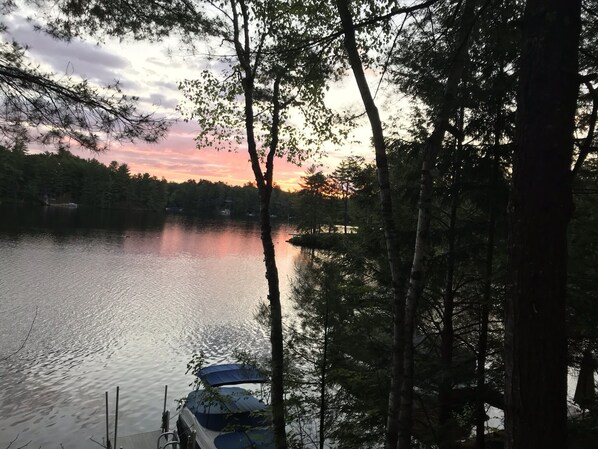 Oklassificerad bild, 1 av 52, knapp