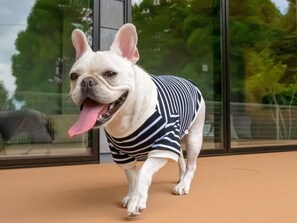 [Pets can stay together] Spacious wooden deck where pets can run