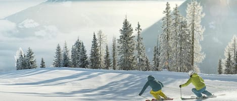 Sky, Sports Equipment, Cloud, Mountain, Plant, Snow, Slope, Tree