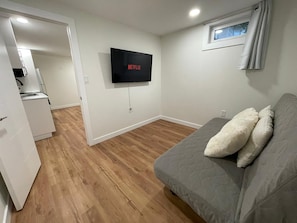 Livingroom / Bedroom - couch converts into a queen size bed