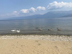 Lake Ohrid