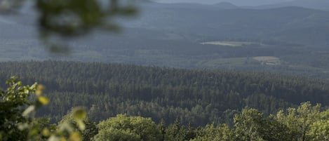 Vue depuis votre terrasse à l’étage 