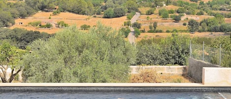 Jardín, privacidad, piscina