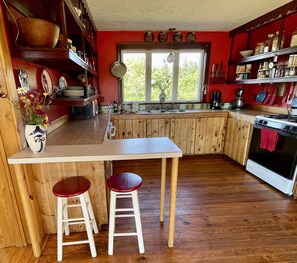 good size kitchen with lots of counter space.