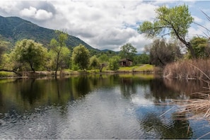 The pond is large and good for fishing.