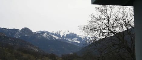 The view from the porch.  The cabin, on a 380 acre ranch, 15 min. from Sequoia N