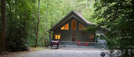 Meadowlark Cabin at Leatherwood Mountains