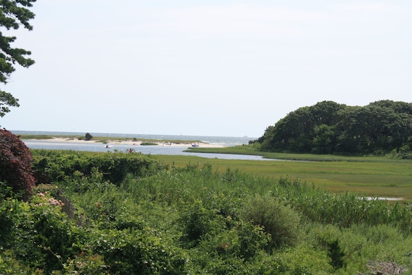 Your view toward Little Beach / Hall's Creek