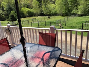 Enjoy watching alpacas and goats from the deck off the bedroom.