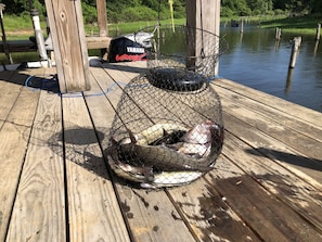 More than 65% of the Texas top 50 largest bass were caught from this lake.