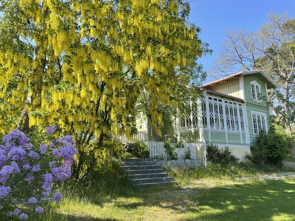 Beautiful veranda windows of this historic home