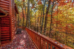 The fall is a magical time in the Smokies!